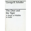 The Deer and the Tiger