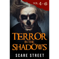 Terror in the Shadows Volumes 4 - 6: Scary Ghosts, Paranormal & Supernatural Horror Short Stories Anthology