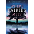 Pagan Portals - Where Fairies Meet: Parallels Between Irish and Romanian Fairy Traditions