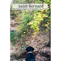 Saint Bernard The Twelve Degrees Of Humility And Pride