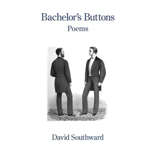 Bachelor's Buttons