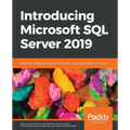 Introducing Microsoft SQL Server 2019: Reliability, scalability, and security both on premises and in the cloud