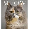 Meow: A Book of Happiness for Cat Lovers