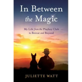 In Between the Magic
