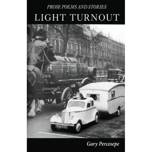 Light Turnout: Prose Poems and Stories
