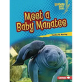 Meet a Baby Manatee