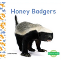 Honey Badgers