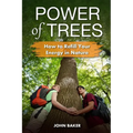 Power of Trees: How to Refill Your Energy in Nature