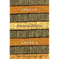 African Immigrant Religions in America