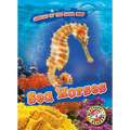 Sea Horses