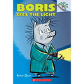 Boris Sees the Light: A Branches Book (Boris #4): Volume 4
