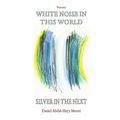 White Noise in This World Silver in the Next