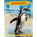Endangered Birds Around the World