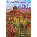 Spring Wildflowers of Utah's Red Rock Desert
