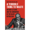 A Terrible Thing to Waste: Arthur Fletcher and the Conundrum of the Black Republican