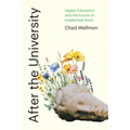 After the University: Higher Education and the Future of Intellectual Work