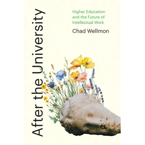 After the University: Higher Education and the Future of Intellectual Work