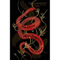 Snakes of St. Augustine