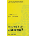 Marketing in the Groundswell