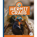 Hermit Crabs