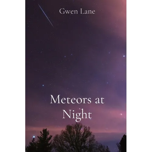 Meteors at Night