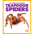Trapdoor Spiders