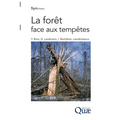 La forêt face aux tempêtes