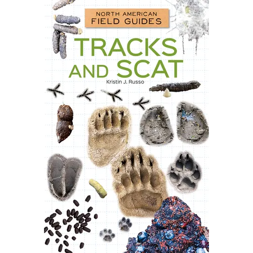 Tracks and Scat