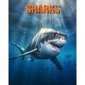 Sharks: Fun Facts Book for Kids with Amazing Photos