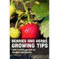 Berries And Herbs Growing Tips: A Guide To Growing And Caring For Perennial Berries And Herbs: Guide To Growing Perennial Herbs