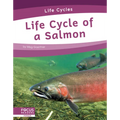 Life Cycle of a Salmon