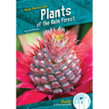 Plants of the Rain Forest