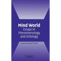 Mind World