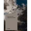 Miguel Rothschild: Premonition
