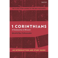 1 Corinthians: A Community in Dissent: An Introduction and Study Guide