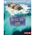 Arctic Ice Loss