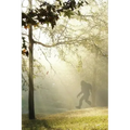 Finding Bigfoot and Other Stories
