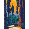 The Ghosts of Bohemian Grove