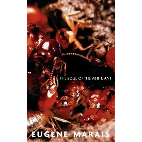 The Soul of the White Ant