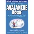 Allen & Mike's Avalanche Book