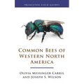 Common Bees of Western North America