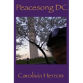 Peacesong DC: A Jewish Africana Academia Epic Tale of Washington City