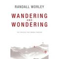 Wandering and Wondering: The Process That Brings Purpose