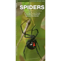 Spiders: A Folding Pocket Guide to Familiar Species Worldwide