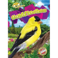 Goldfinches