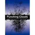 Punching Clouds: An Introduction to the Complexity of Public Decision-Making