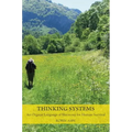 Thinking Systems