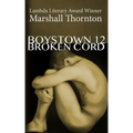 Boystown 12: Broken Cord
