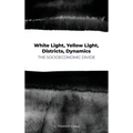 White Light, Yellow Light, Districts, Dynamics: The Socioeconomic Divide