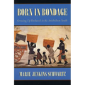 Born in Bondage: Growing Up Enslaved in the Antebellum South